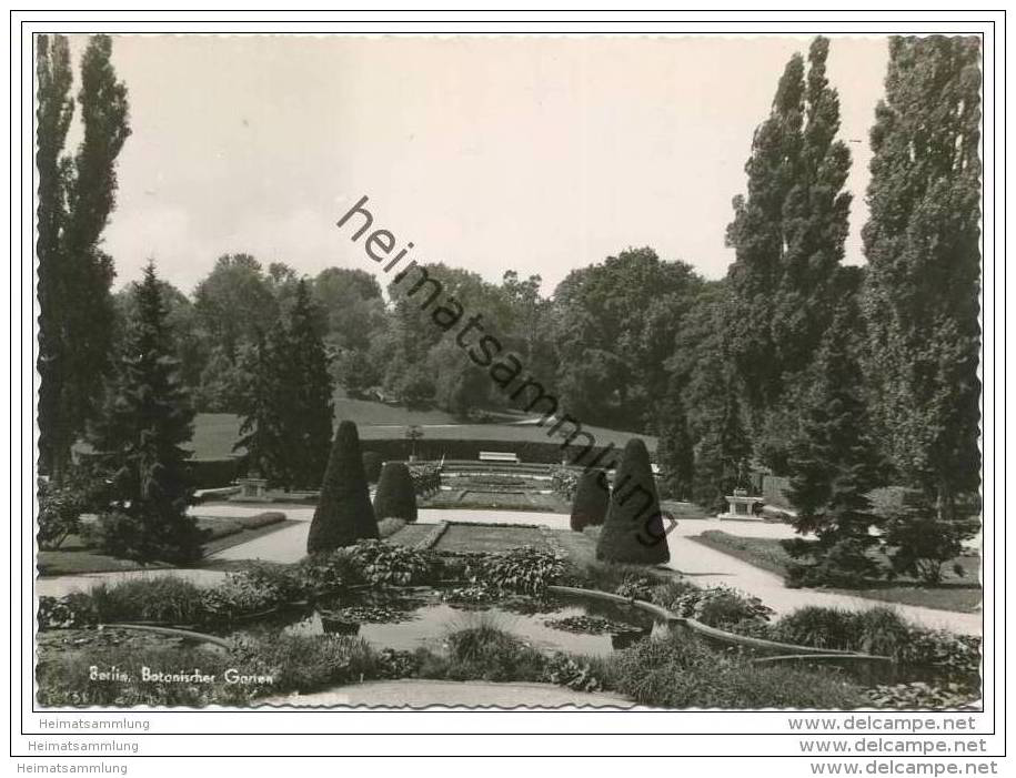 Berlin - Botanischer Garten - Foto-AK Grossformat - Dahlem