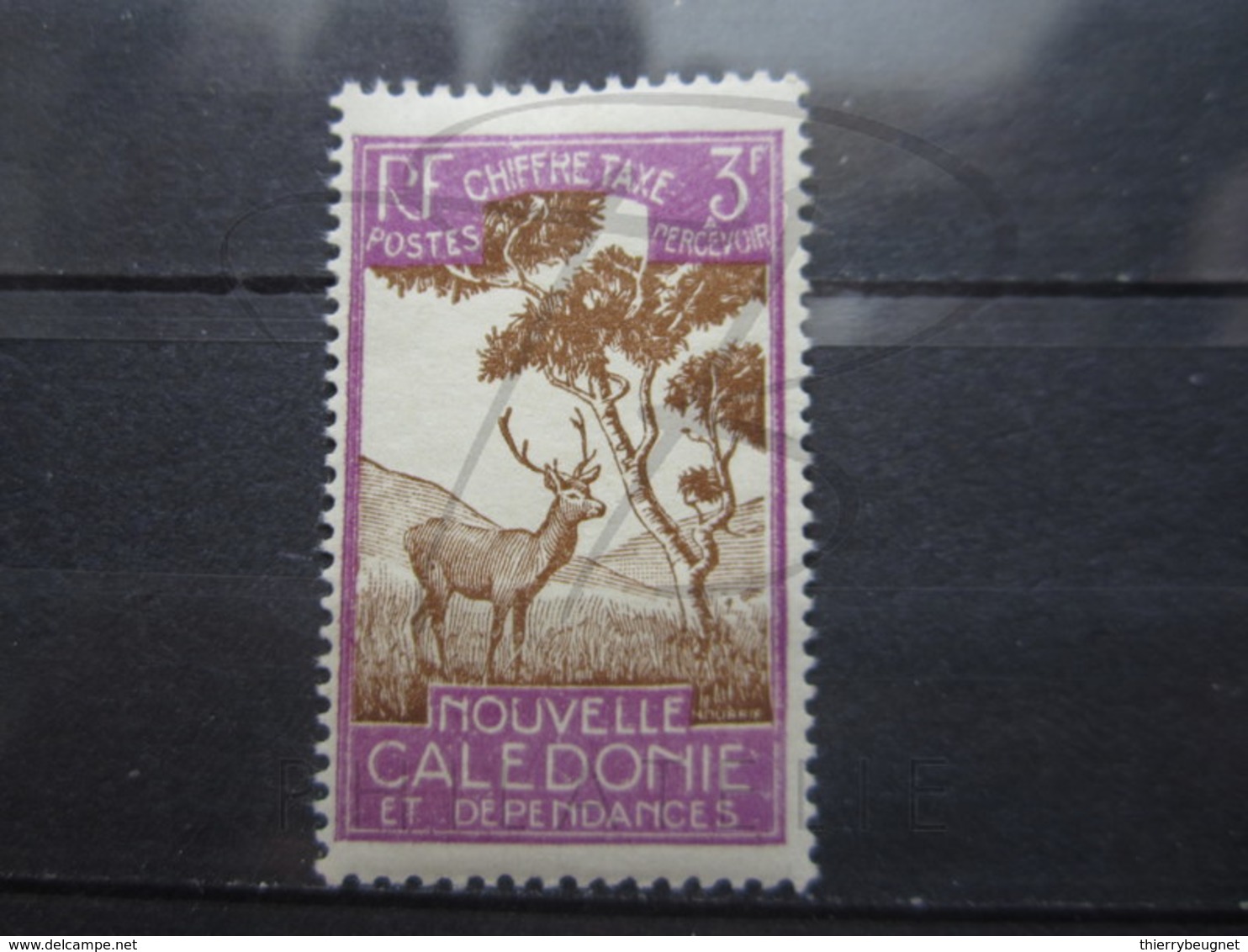 VEND BEAU TIMBRE TAXE DE NOUVELLE - CALEDONIE N ° 38 , X !!! - Portomarken