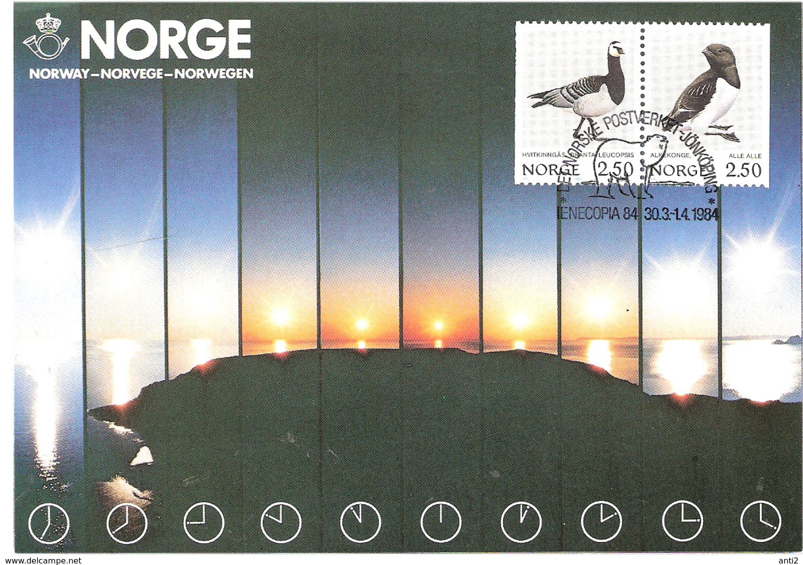 Norway Card 1984 Midnight Sun With Bird Stamps, Ice Bear In Special Cancellation IENECOPIA 84, Jönköping 30.3-1.4 - Maximum Cards & Covers