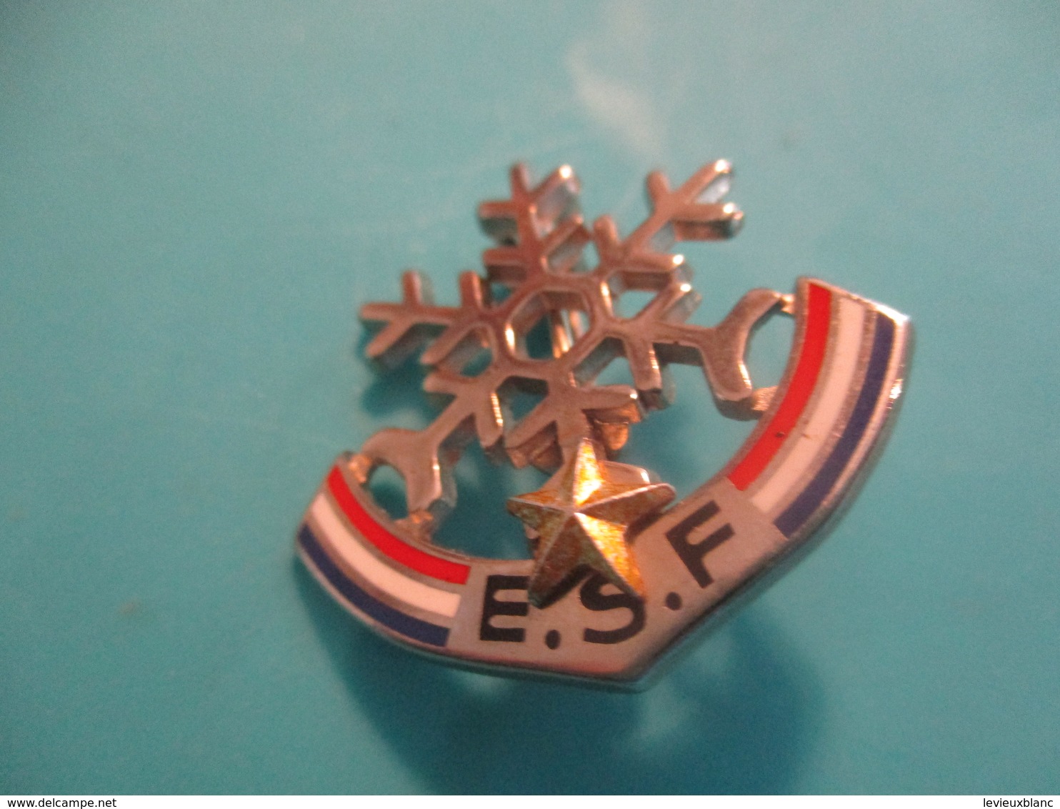 BROCHE DE SKI / ESF CLUB OURSON / INSIGNE NOUVELLE VERSION MEDAILLE BREVET