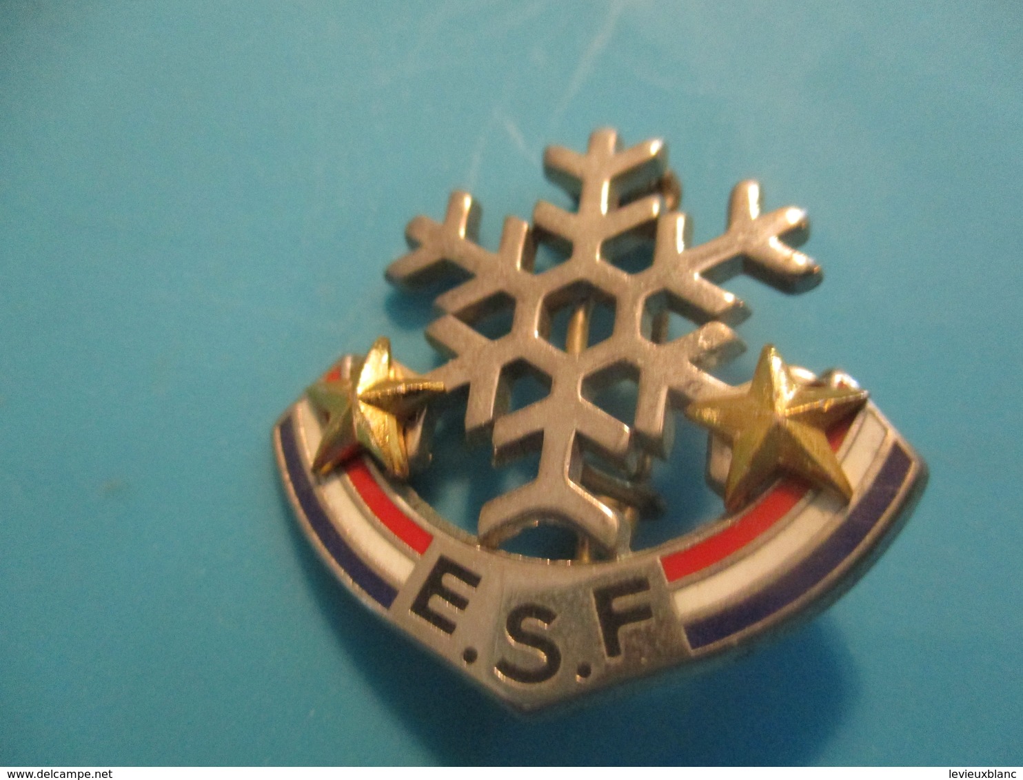 Insigne Sport à épingle/SKI/ Ecole Du Ski Français/ Flocon Deux  Etoiles/ DECAT /Vers 1970-80   SPO332 - Sports D'hiver