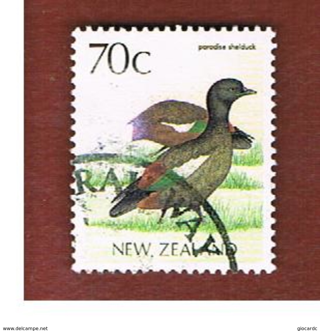 NUOVA ZELANDA (NEW ZEALAND) - SG 1466 -  1988 NATIVE BIRDS: PARADISE SHELDUCK   -  USED° - Usati