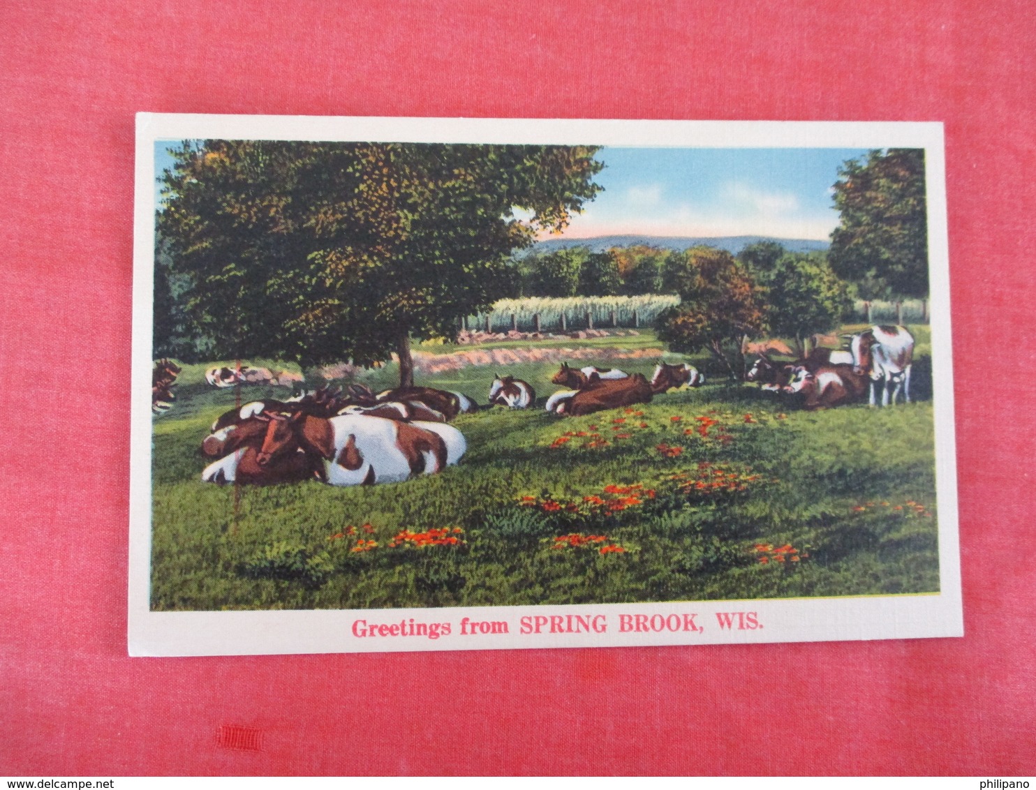 Adv. For Postcard On Back Of Card  Greetings  Spring Brook Wis  Cows In Pasture .  Ref 3053 - Advertising