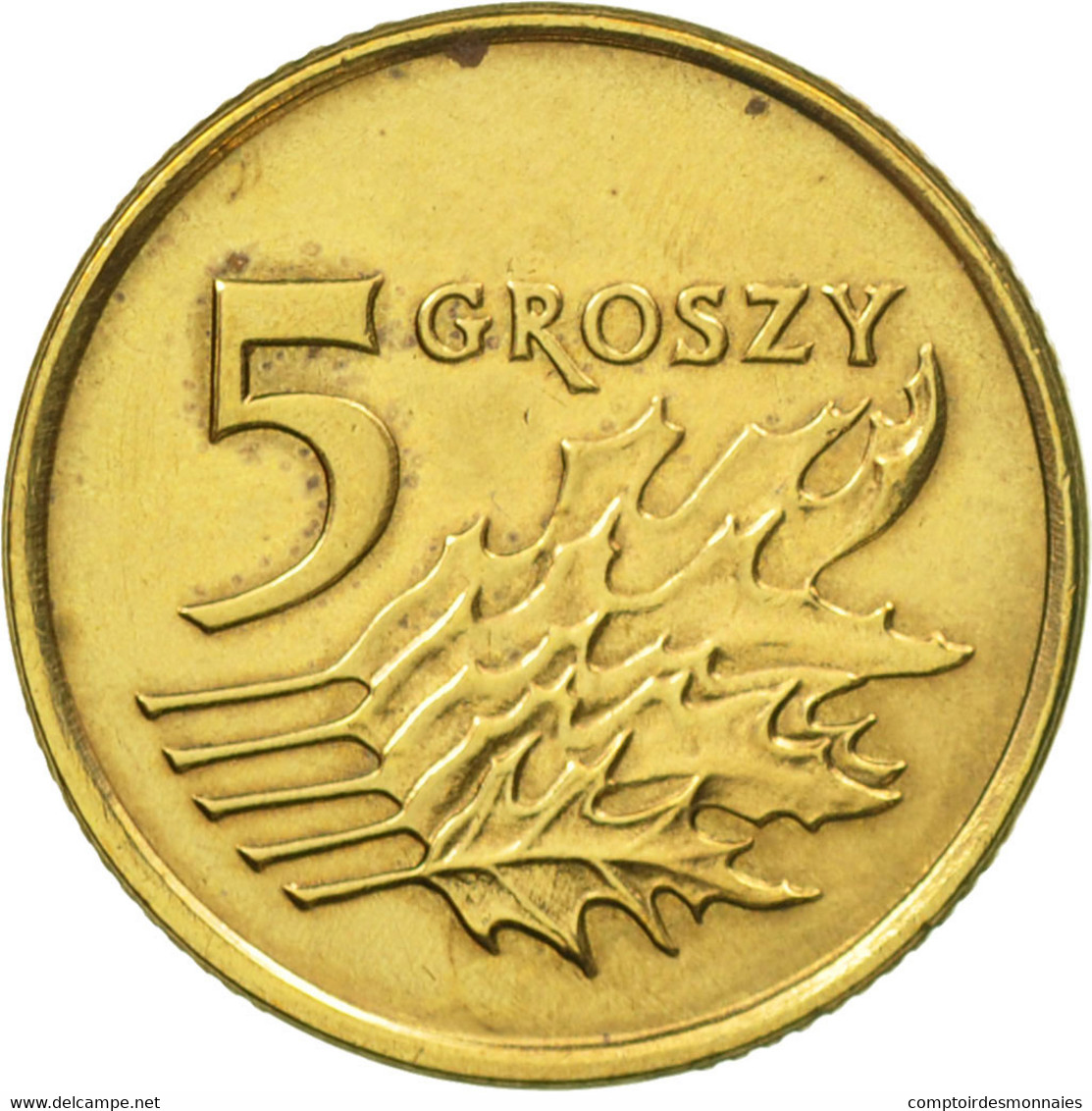 Monnaie, Pologne, 5 Groszy, 1991, Warsaw, TTB+, Laiton, KM:278 - Pologne