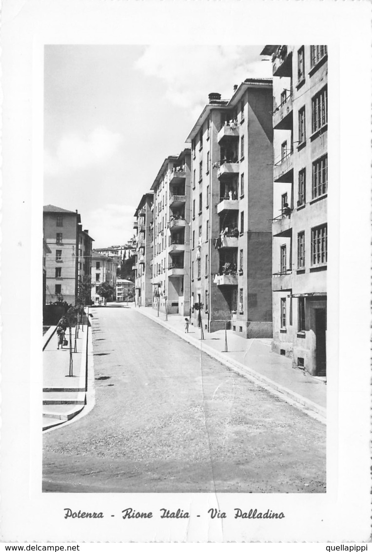 08392 "POTENZA - RIONE ITALIA - VIA PALLADINO" ARCH. '900.  ANIMATA, FOTO BUCCI. CART SPED 1955 - Potenza