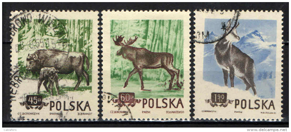 POLONIA - 1954 - ANIMALI DELLA FORESTA POLACCA - USATI - Gebruikt