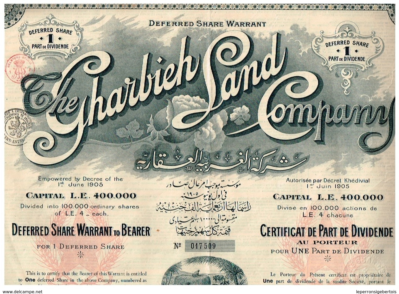 Certificat Ancien - The Gharbieh Land Company - Titre De 1906 - Afrika