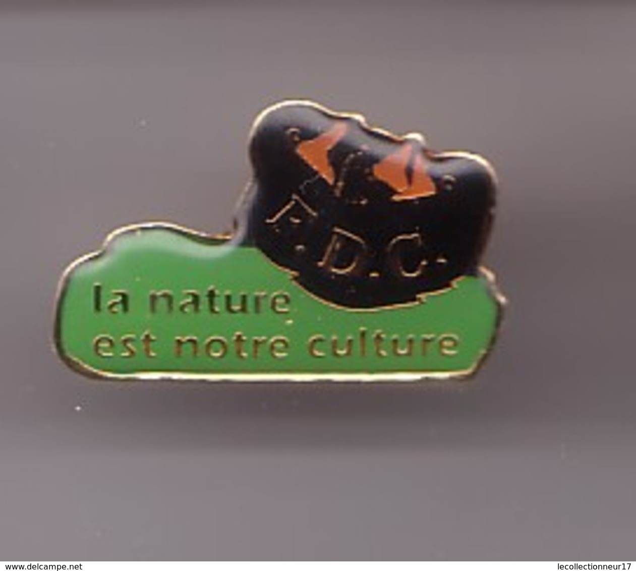 Pin's F.D.C.  Fédération Départementale Des Chasseurs De Charente Maritime à Saint Julien De L'Escap Réf 1740 - Autres & Non Classés