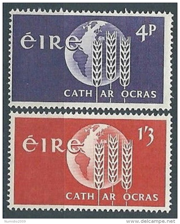 1963 EIRE LOTTA CONTRO LA FAME MNH ** - GB002 - Nuovi