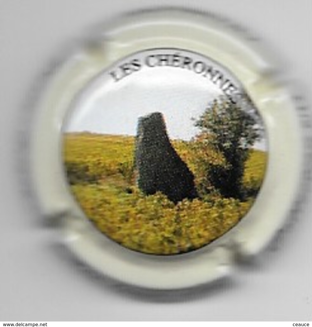 CHAMPAGNE " PASSY-GRIGNY13e" (18) - Autres & Non Classés