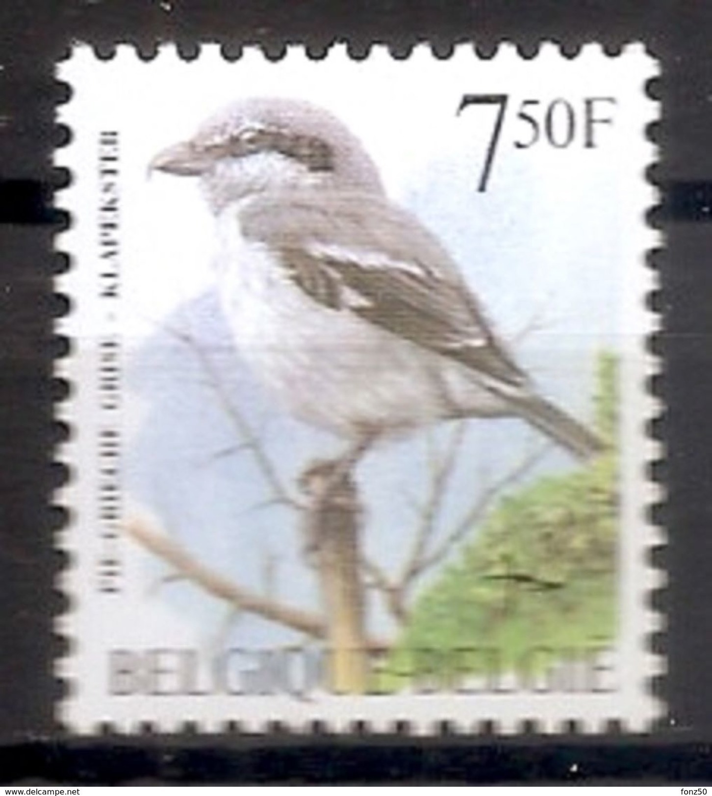 BELGIE * Buzin * Nr 2775 * Postfris Xx * FLUOR  PAPIER - 1985-.. Vogels (Buzin)