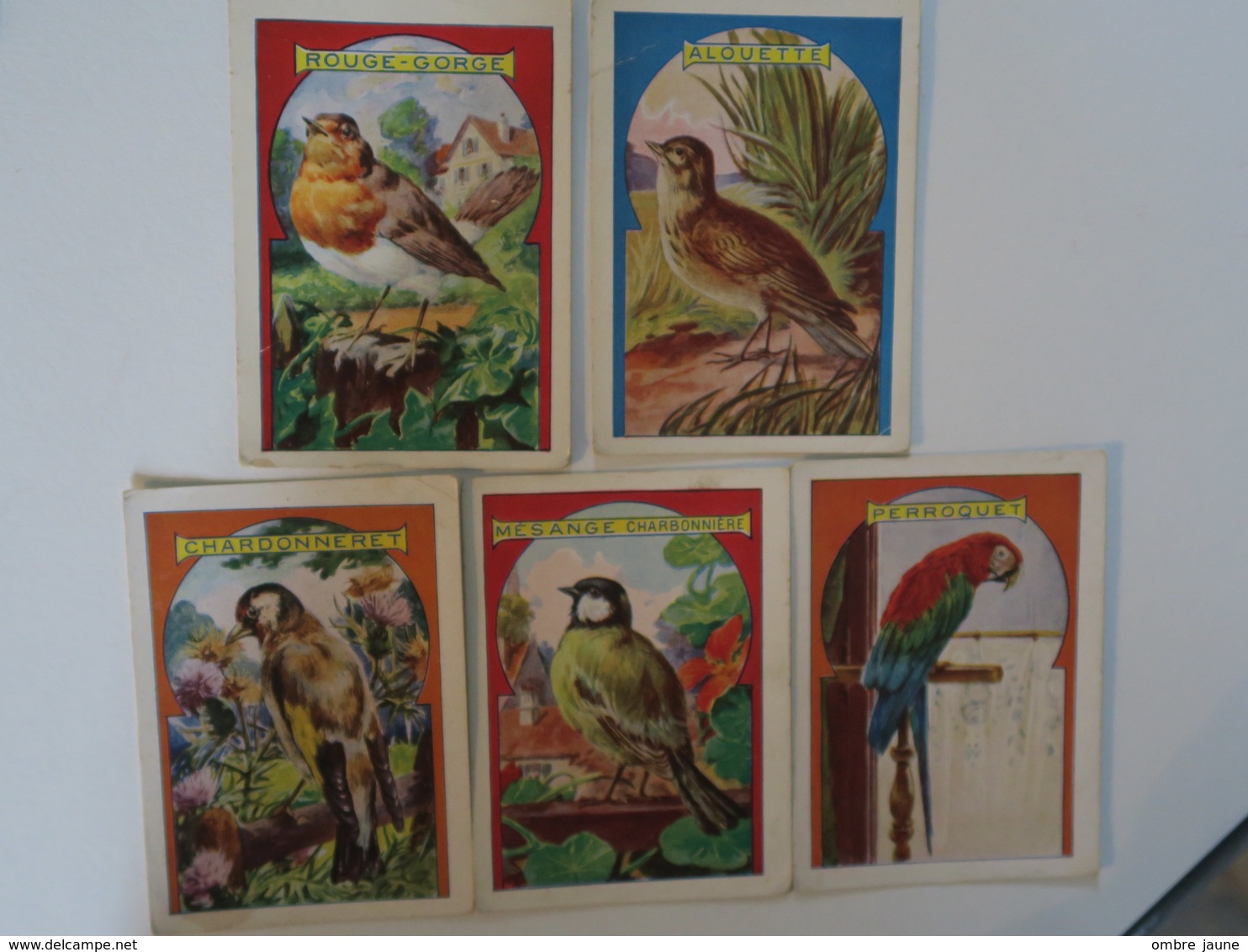 CH - Chromo - Lot De 5 - Theme Oiseaux  - Hachette - Rouge Gorge - Chardonneret - Alouette - Perroquet - Mesange - Otros & Sin Clasificación