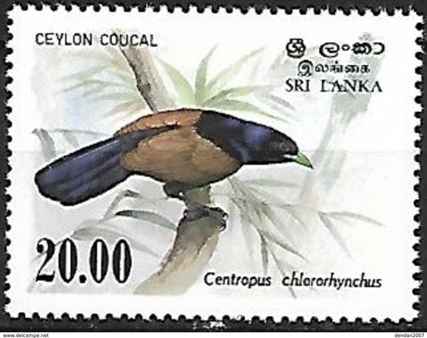 Sri Lanka 1983 - MNH - Green-billed Coucal (Centropus Chlororhynchos) - Cuckoos & Turacos