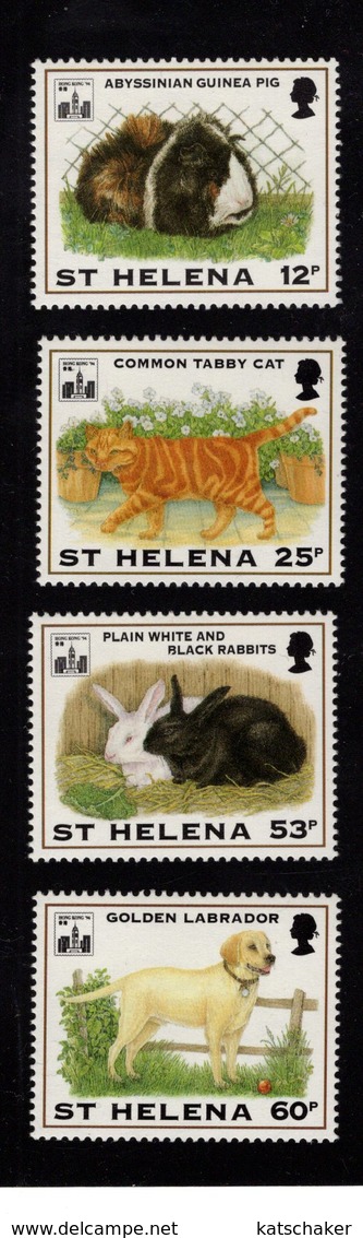 628669825 SINT HELENA 1994 ** MNH SCOTT 619 620 621 622 PETS  - PIG -TABBY CAT - RABITS - GOLDEN LABRADOR - ANIMALS - St. Helena