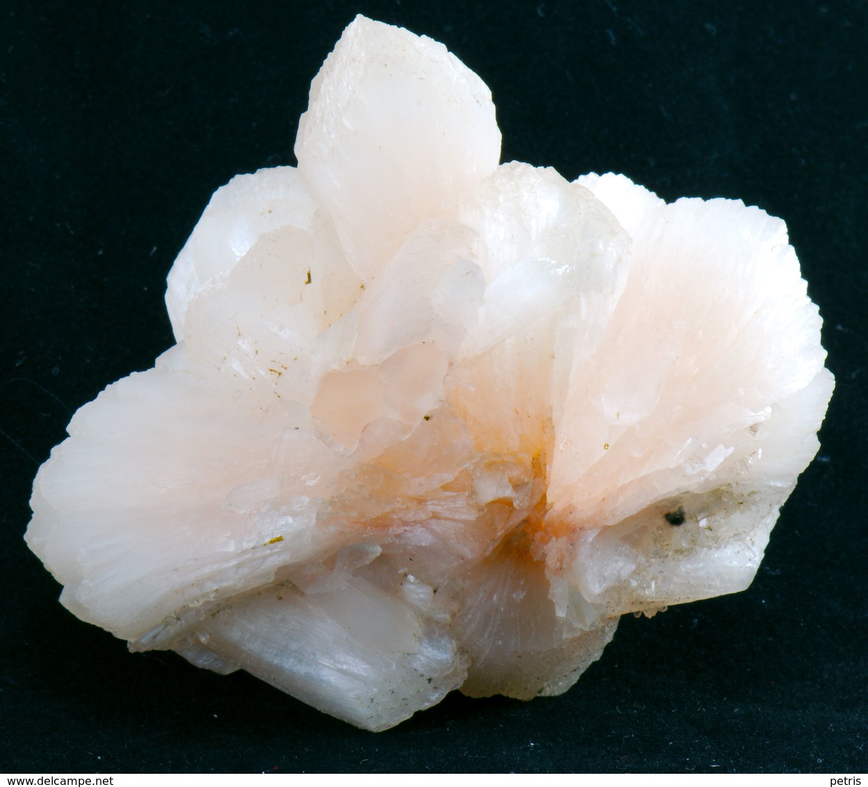 Minerals - Stilbite (Poona, India) - Lot.2 - Minéraux