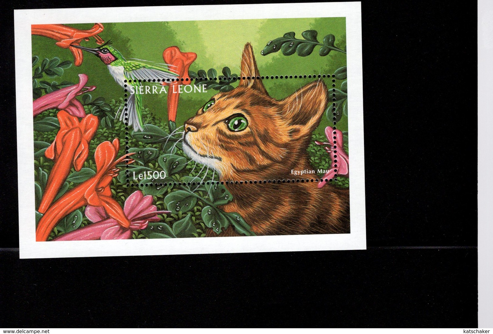 628775422 SIERRA LEONE 1997 ** MNH SCOTT 2040 DOMESTIC CATS - Sierra Leone (1961-...)