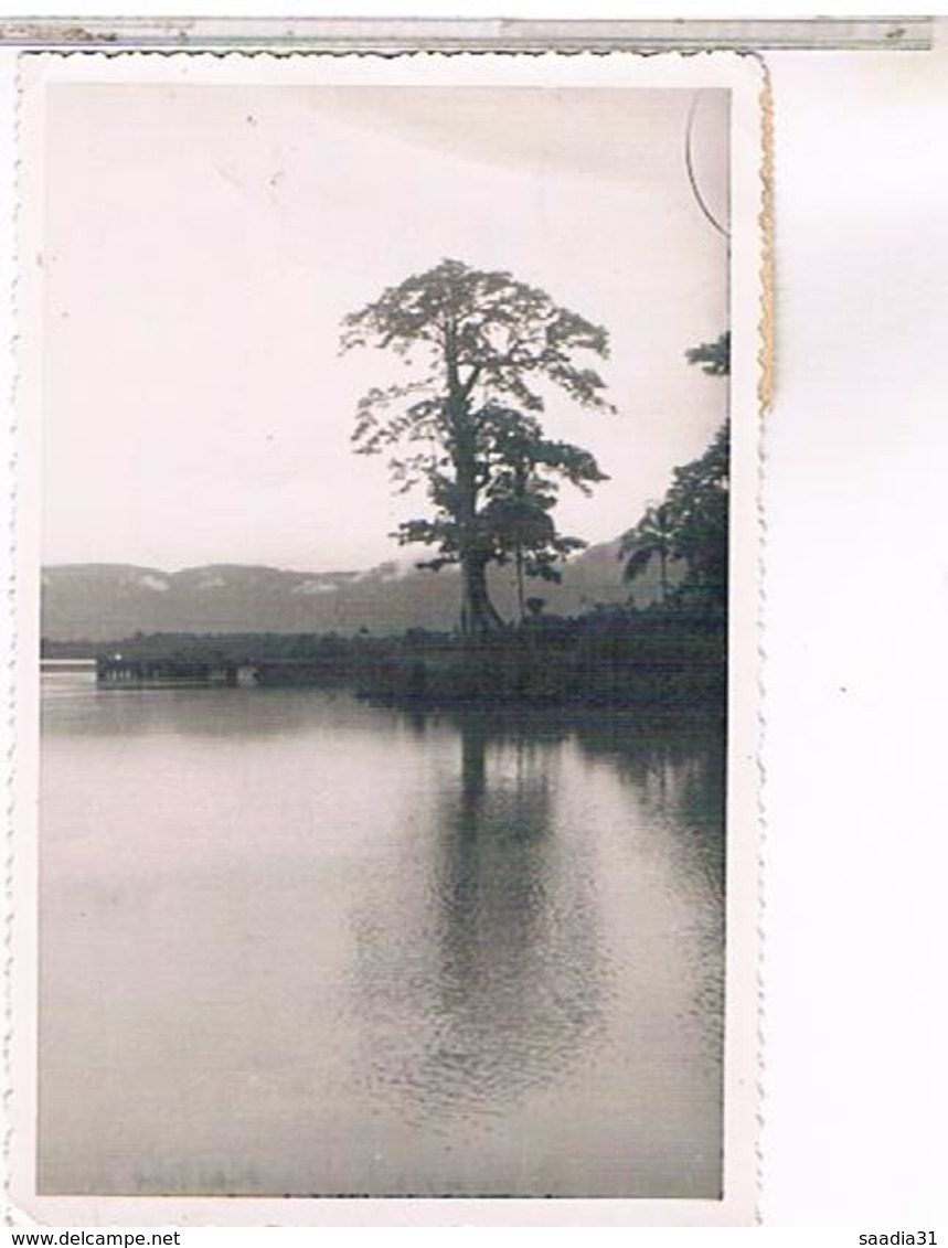 GUINEE CONAKRY  BORDS RIVIERE DULREKA 1950 PHOTO135X88 - Guinea Ecuatorial