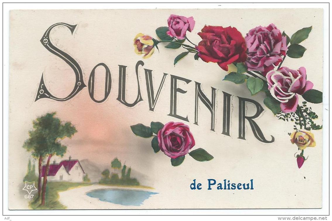 N°6 ANCIENNE CARTE FANTAISIE SOUVENIR DE PALISEUL, MAISONS, FLEURS, PROVINCE DE LUXEMBOURG, BELGIQUE - Paliseul