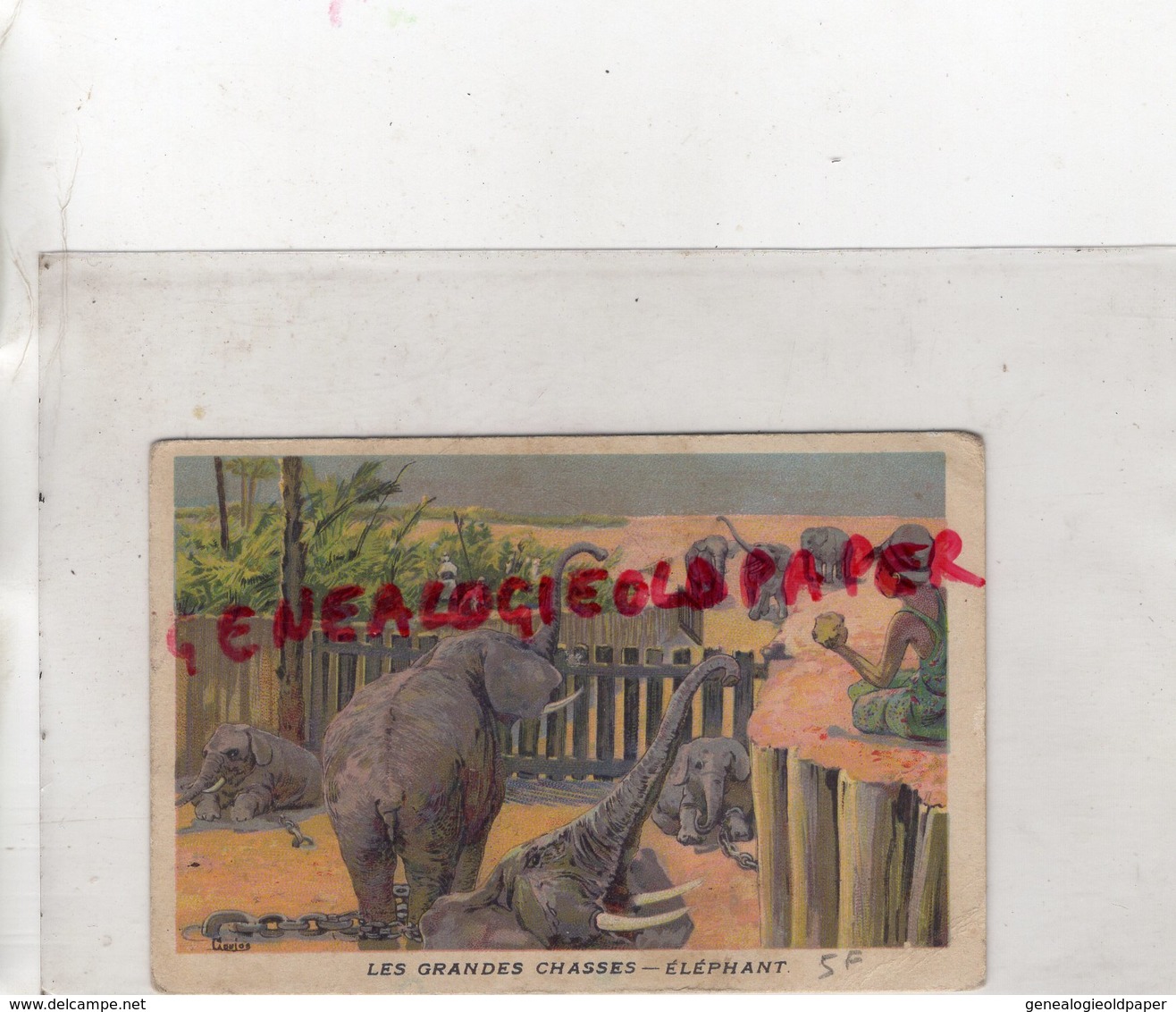 62- MONDICOURT - CHROMO CHOCOLAT IBLED- ELEPHANT ASIE -ELEPHANTS - Autres & Non Classés