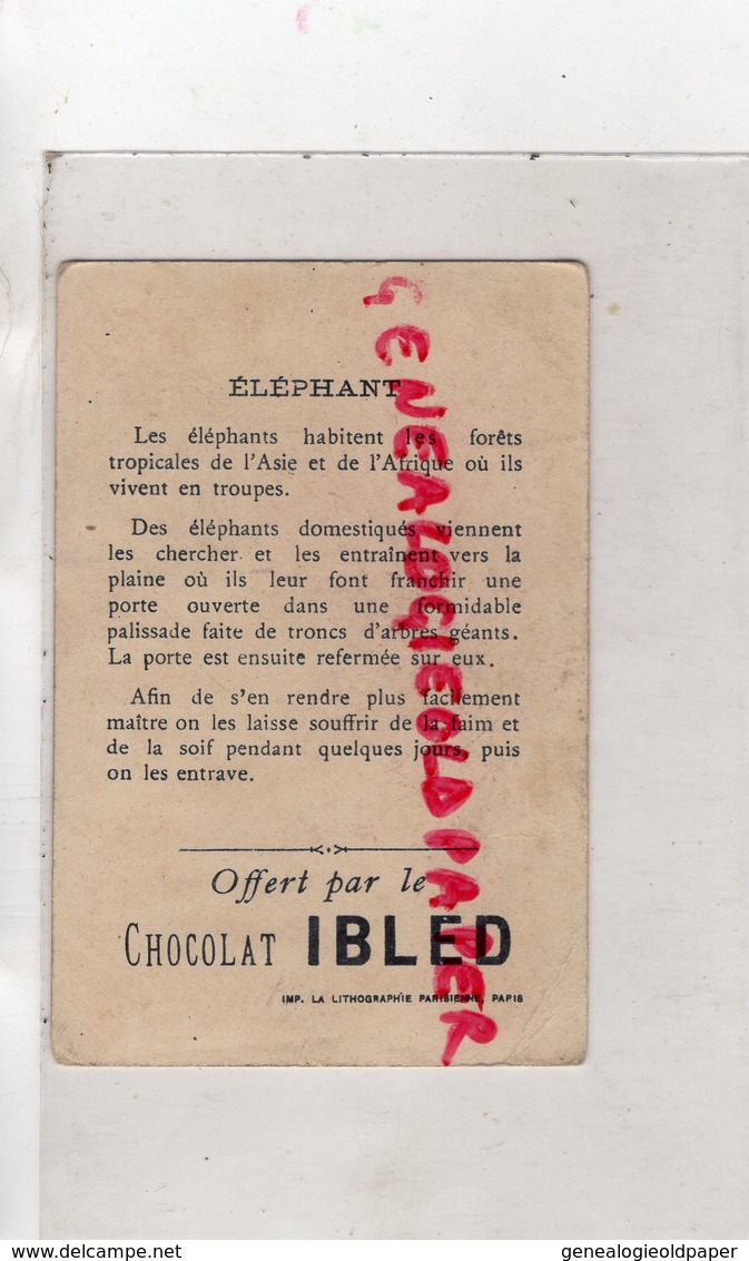 62- MONDICOURT - CHROMO CHOCOLAT IBLED- ELEPHANT ASIE -ELEPHANTS - Autres & Non Classés