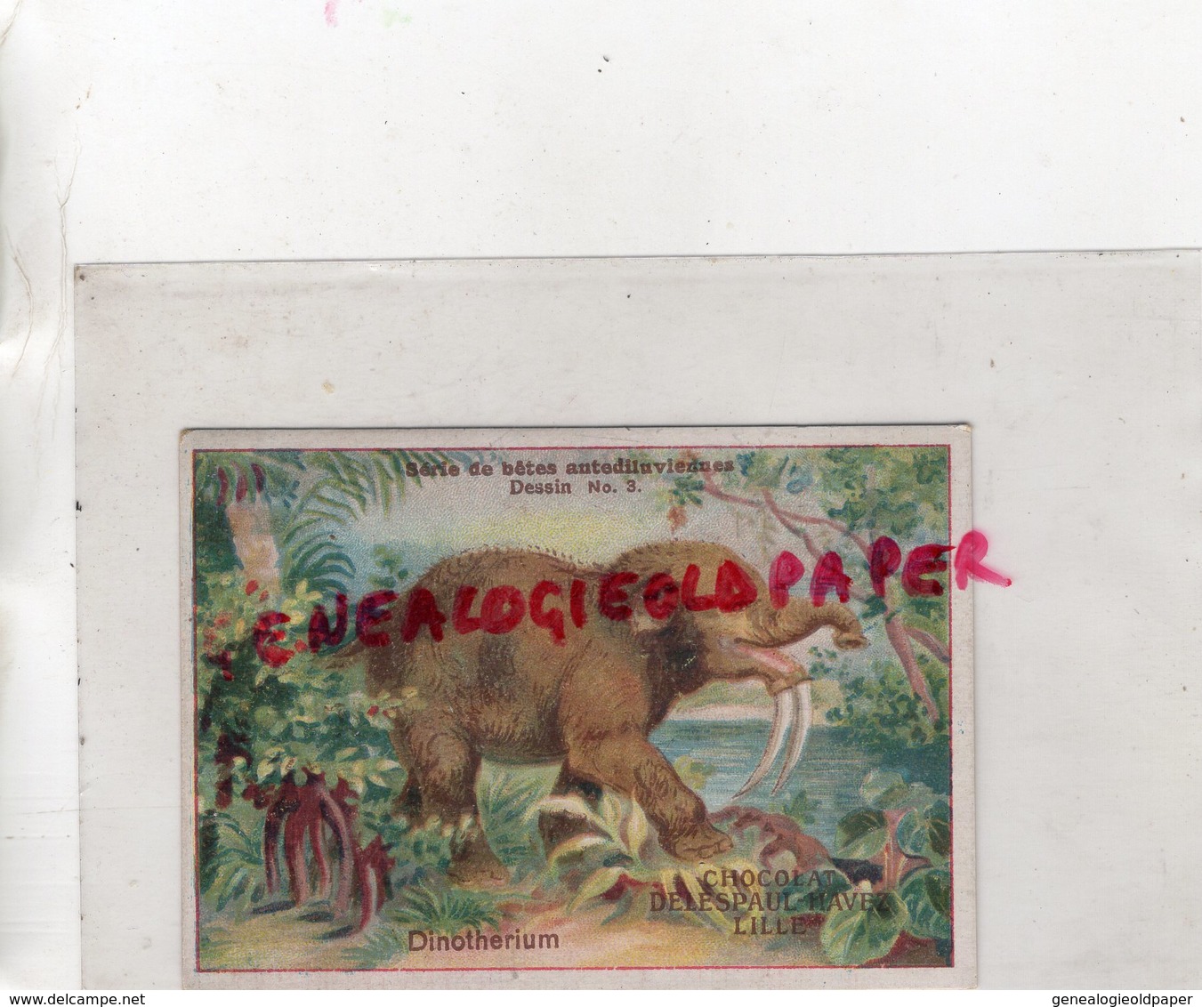 59- LILLE- CHROMO CHOCOLAT DELESPAUL HAVEZ- BETES ANTEDILUVIENNES- DINOTHERIUM-MAMOUTH ELEPHANT - Other & Unclassified