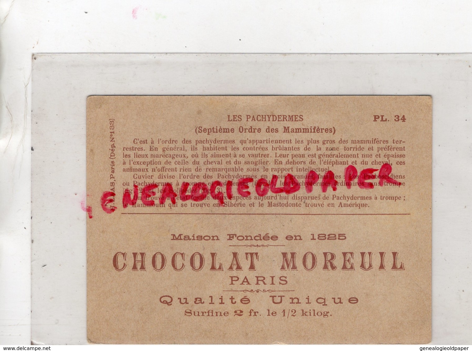 75- PARIS-CHROMO CHOCOLAT MOREUIL- LES PACHYDERMES -ELEPHANT - Lombart