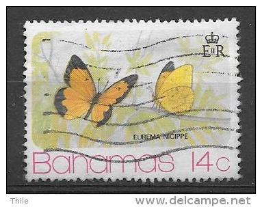 PAPILLON - BUTTERFLY - Eurema Nicippe 1975 (o) - Bahamas (1973-...)