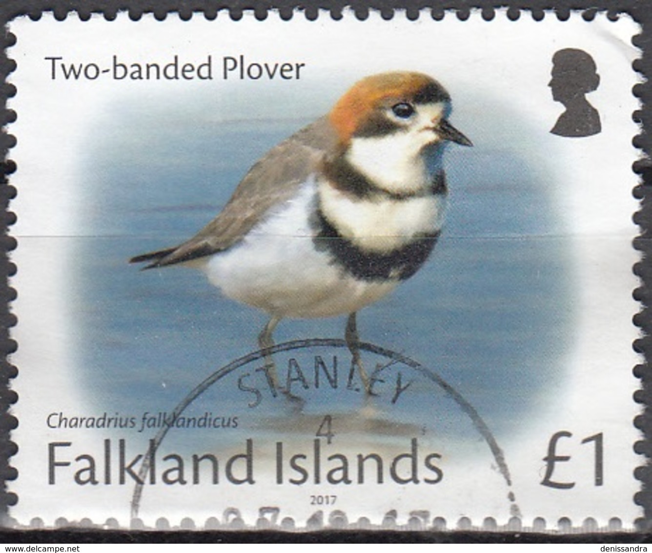 Falkland Islands 2017 Pluvier O Cachet Rond - Falkland