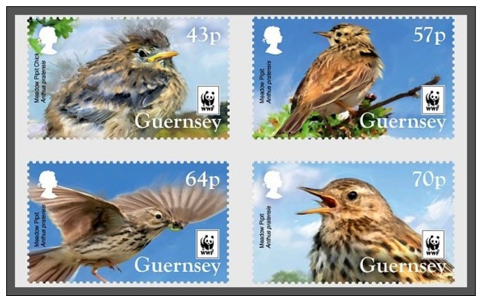 H01 Guernsey 2017 WWF Meadow Pipit Birds MNH Postfrisch - Guernesey