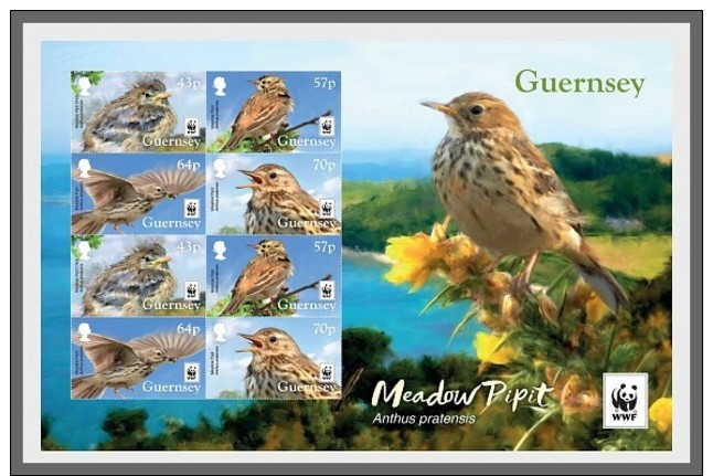 H01 Guernsey 2017 WWF Meadow Pipit Birds MNH Postfrisch - Guernsey