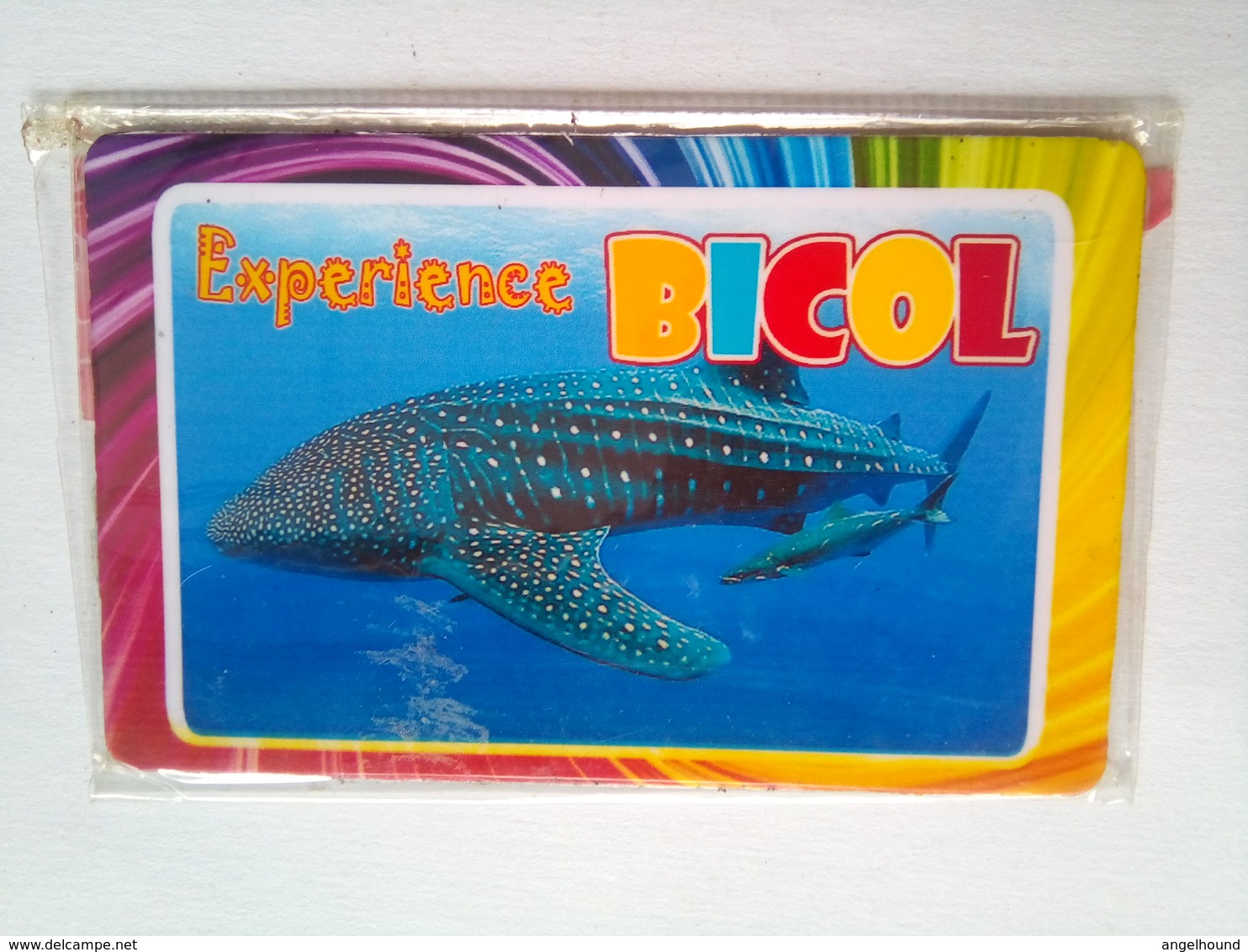 Experience Bicol - Trasporti