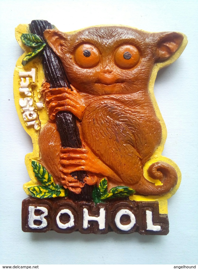 Bohol Tarsier - Tourisme