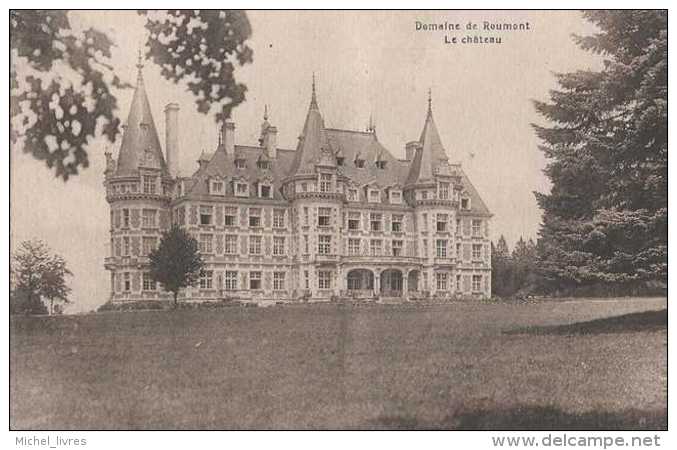 Ochamps - Domaine De Roumont - Le Château - Circulé - TBE Sauf Dos - Libin - Libin