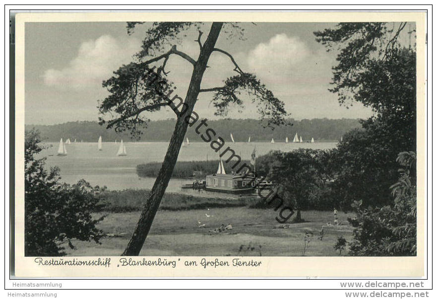 Berlin - Restaurationsschiff Blankenburg An Großen Fenster - Inhaber Kurt Blankenburg - Foto-AK - Wannsee