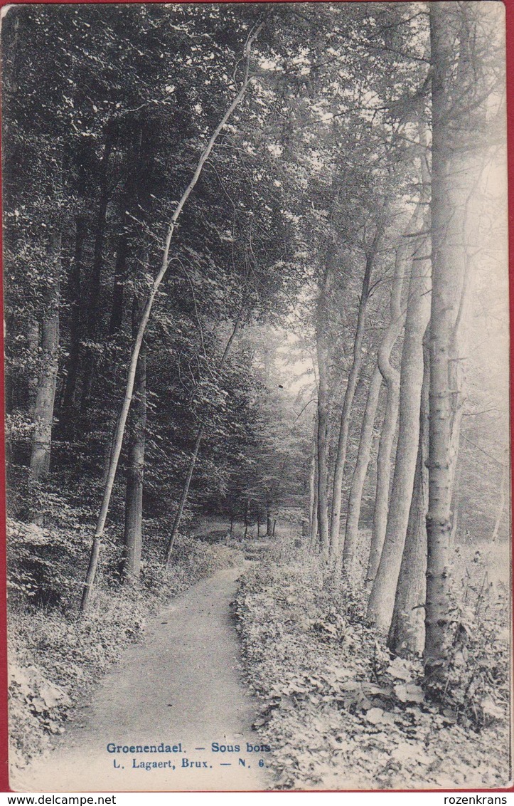 Groenendael Hoeilaart Sous Bois 1907 (En Très Bon Etat) (In Zeer Goede Staat) - Hoeilaart