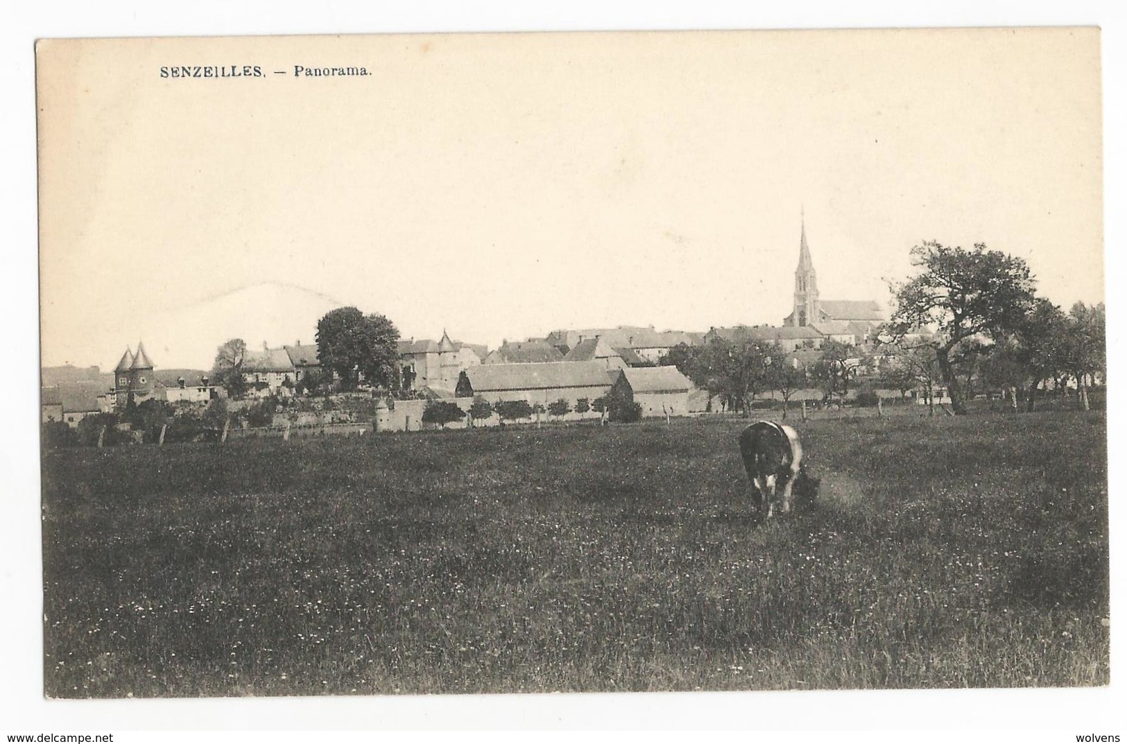 Senzeilles Panorama Carte Postale Ancienne Senzeille Vue Générale Cerfontaine - Cerfontaine