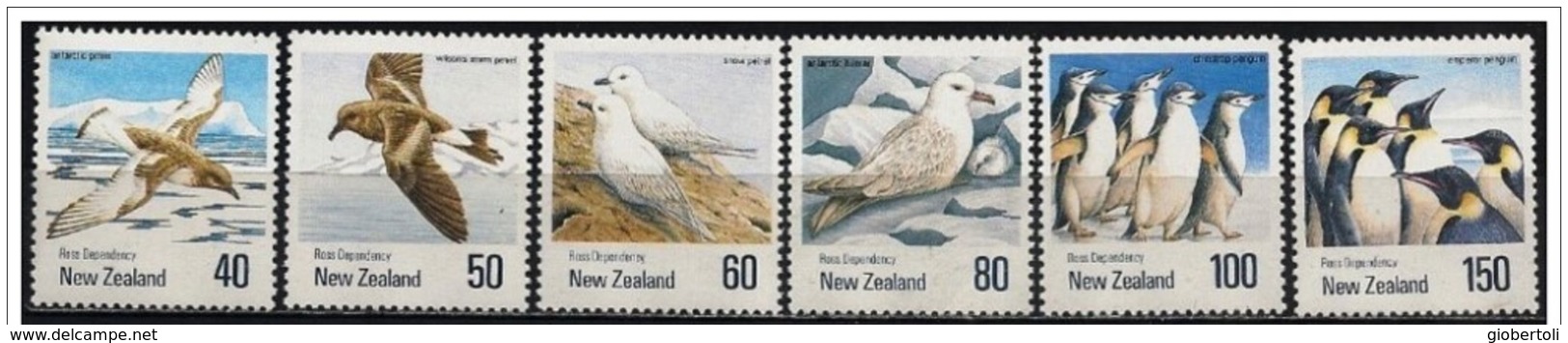 Nuova Zelanda/New Zealand/Nouvelle-Zélande: Petrello, Pinguino, Petrel, Penguin, Pétrels, Pingouin - Fauna Antártica