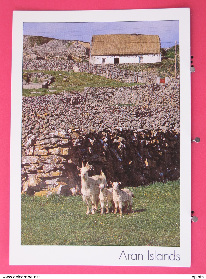 Visuel Pas Très Courant - Irlande - Aran Islands - Scans Recto-verso - Galway