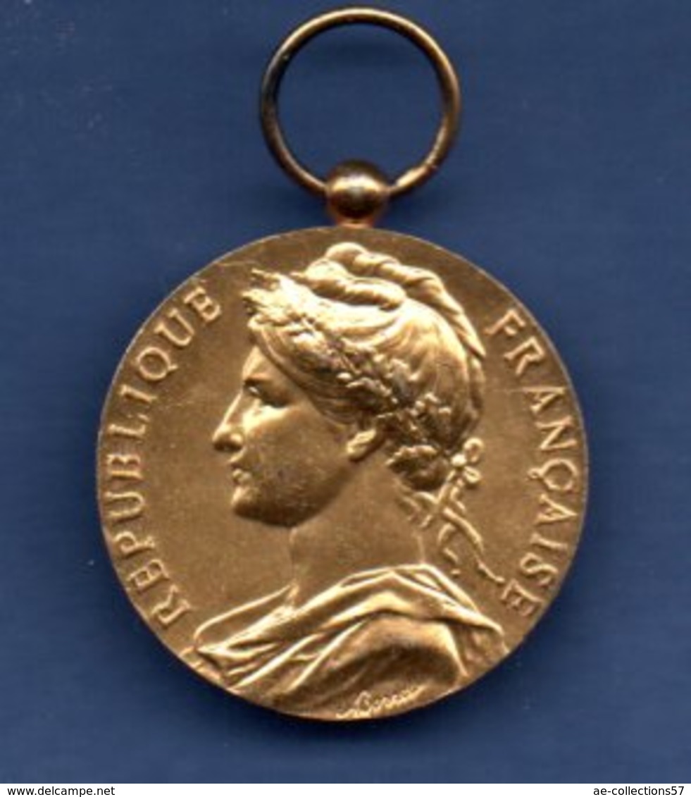 Médaille  - Ministère Du Travail Et La Sécurité Sociale - Other & Unclassified