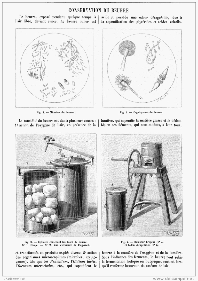 LA CONSERVATION Du BEURRE  1895 - Altri & Non Classificati