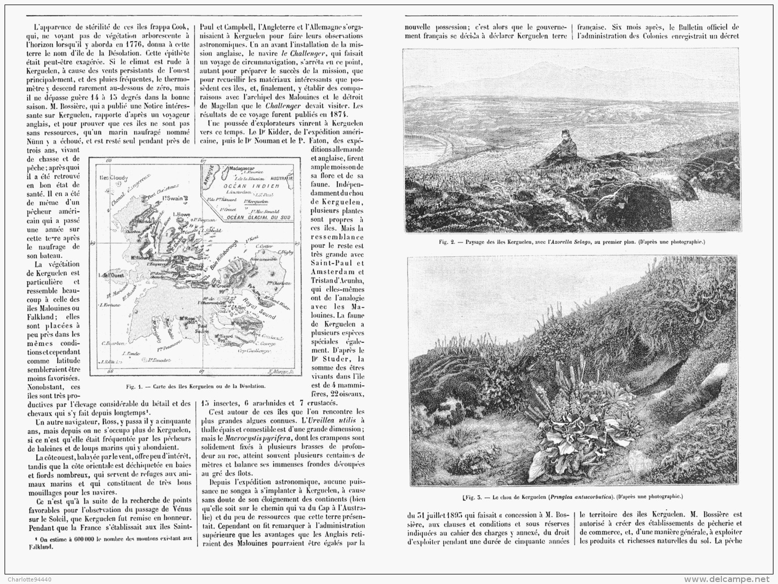 LES ILES KERGUELEN    1895 - Outre-Mer