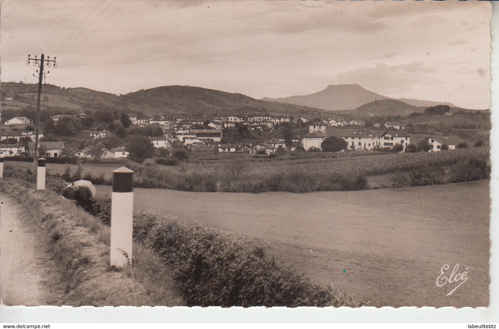 PAYS BASQUE - ESPELETTE - Vue Générale  PRIX FIXE - Espelette