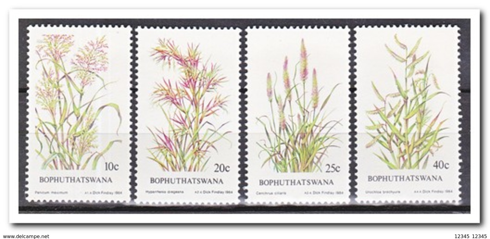 Bophutswana 1984, Postfris MNH, Grasses, Plants - Bophuthatswana