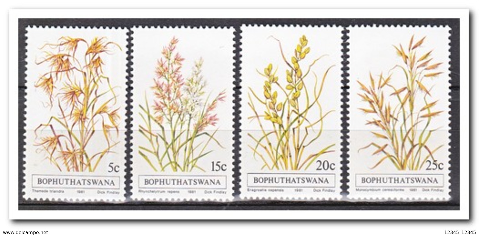 Bophutswana 1981, Postfris MNH, Grasses, Plants - Bophuthatswana