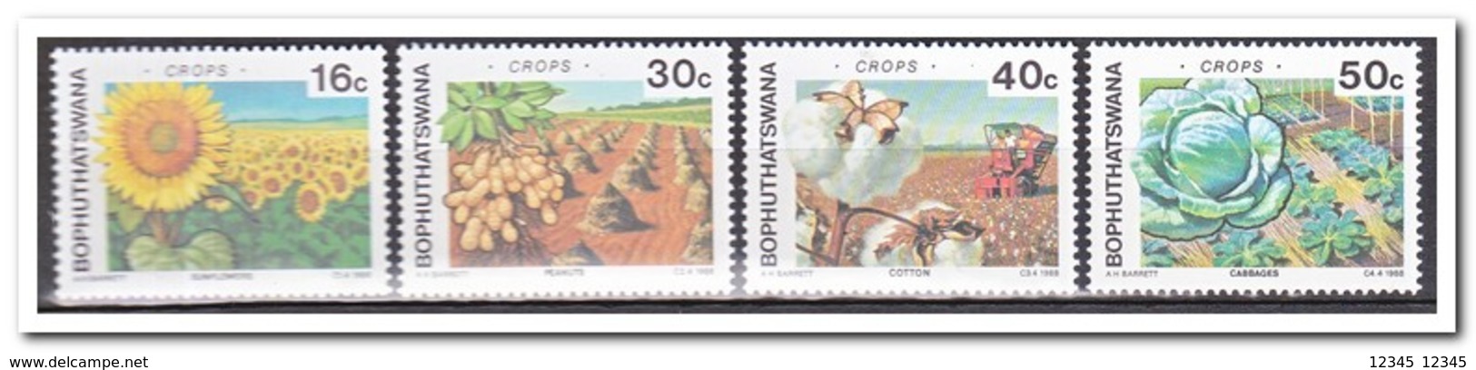 Bophutswana 1988, Postfris MNH, Agriculture, Plants - Bophuthatswana