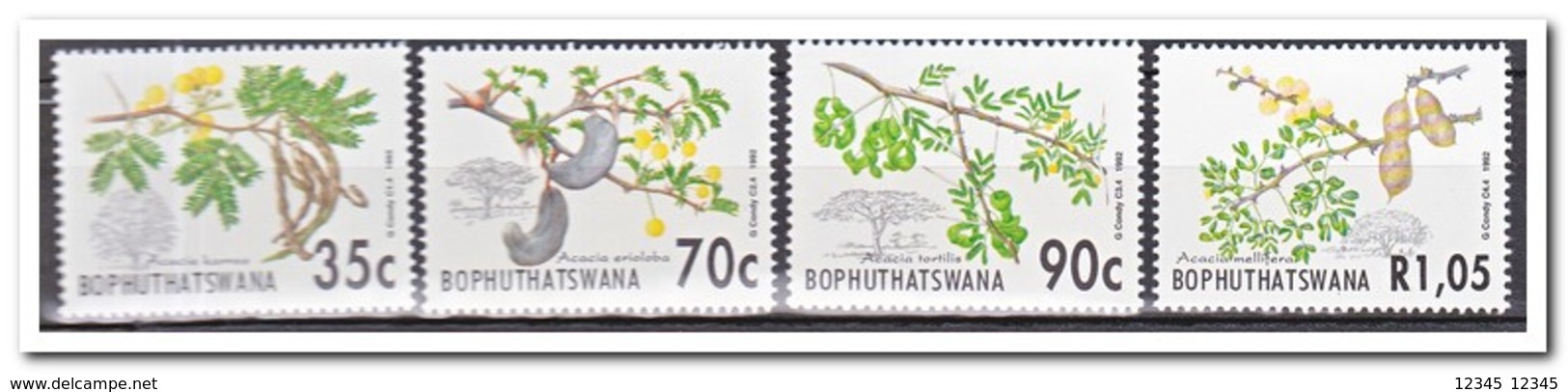 Bophutswana 1992, Postfris MNH, Plants - Bophuthatswana