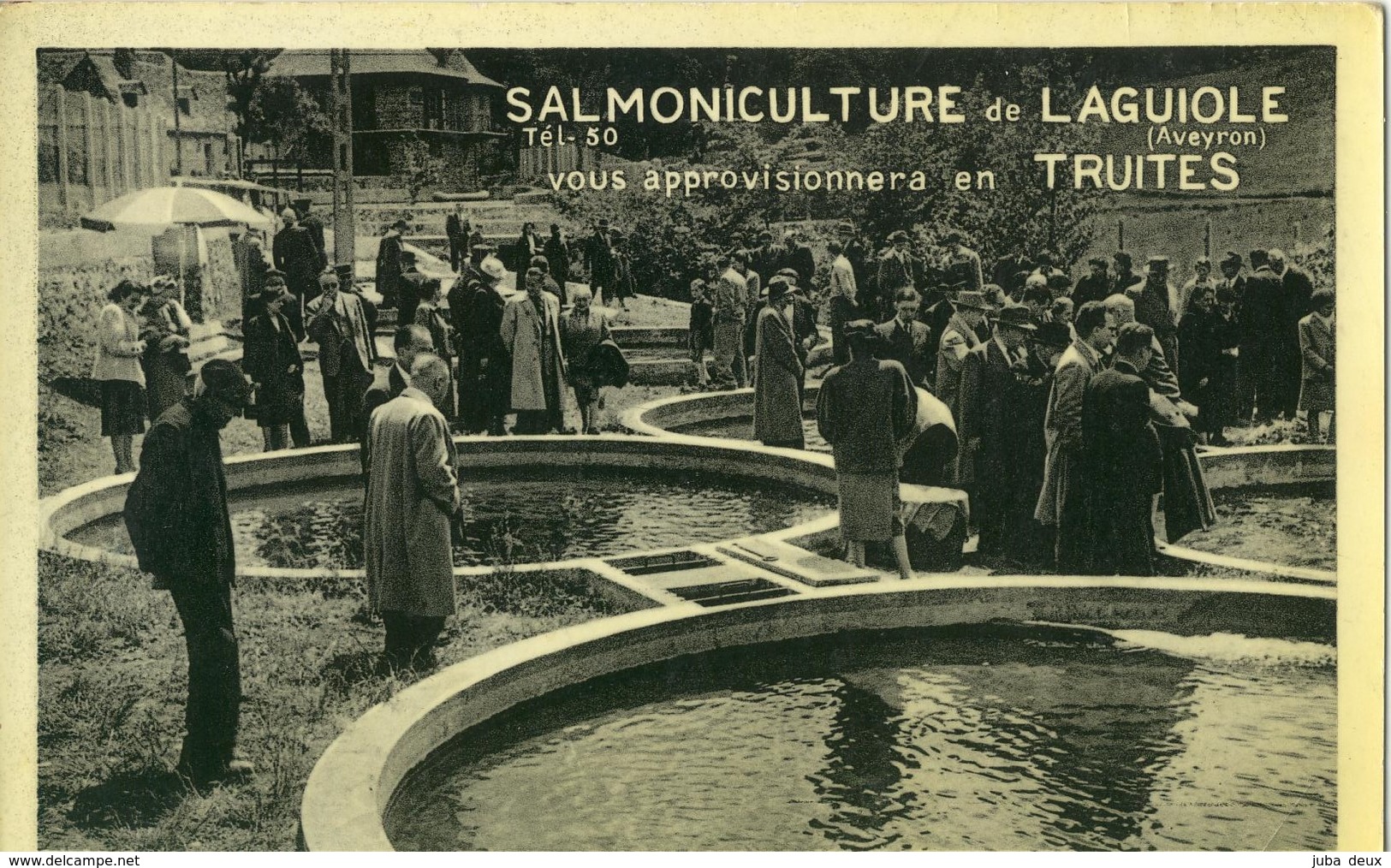 LAGUIOLE .  SALMONICULTURE .  BELLE ANIMATION . - Laguiole