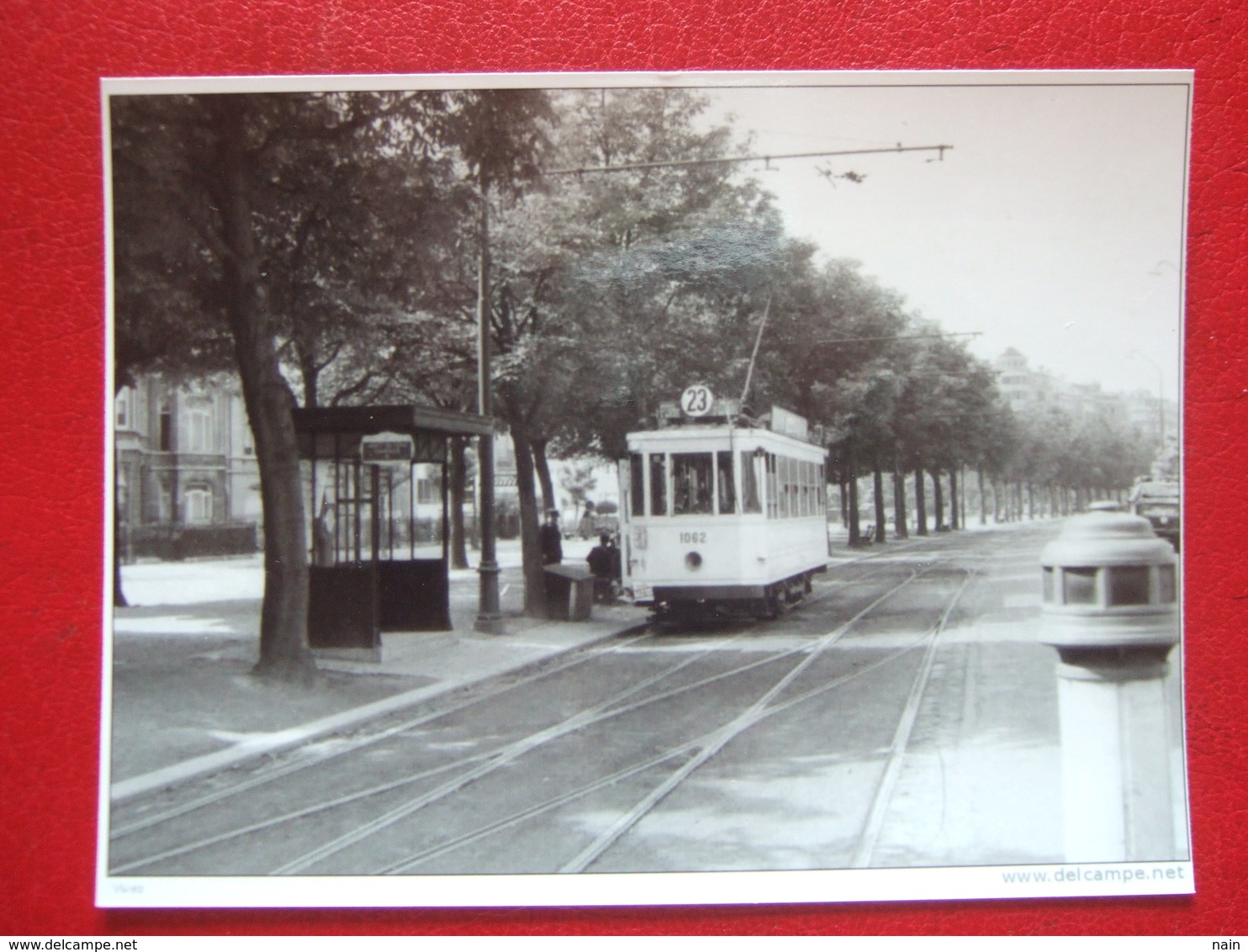 BELGIQUE - BRUXELLES -  ANVERS  PHOTO 15 X 10 - TRAM - TRAMWAY - LIGNE 23 - - Transporte Público