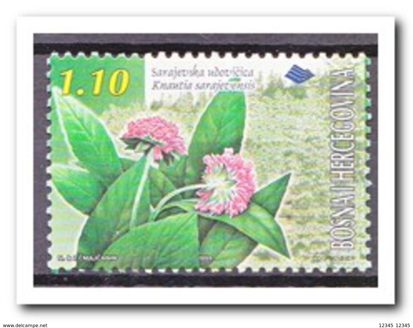 BosnIë Herzegovina 1999, Postfris MNH, Flowers, Plants - Bosnië En Herzegovina