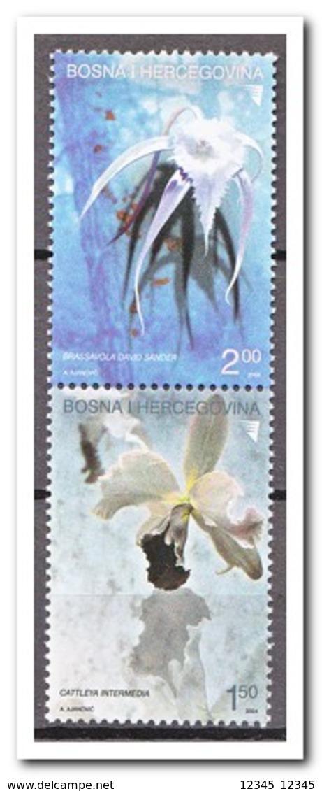 BosnIë Herzegovina 2004, Postfris MNH, Flowers, Orchids - Bosnië En Herzegovina